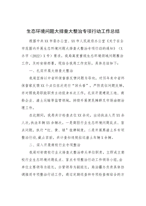 生态环境问题大排查大整治专项行动工作总结.docx