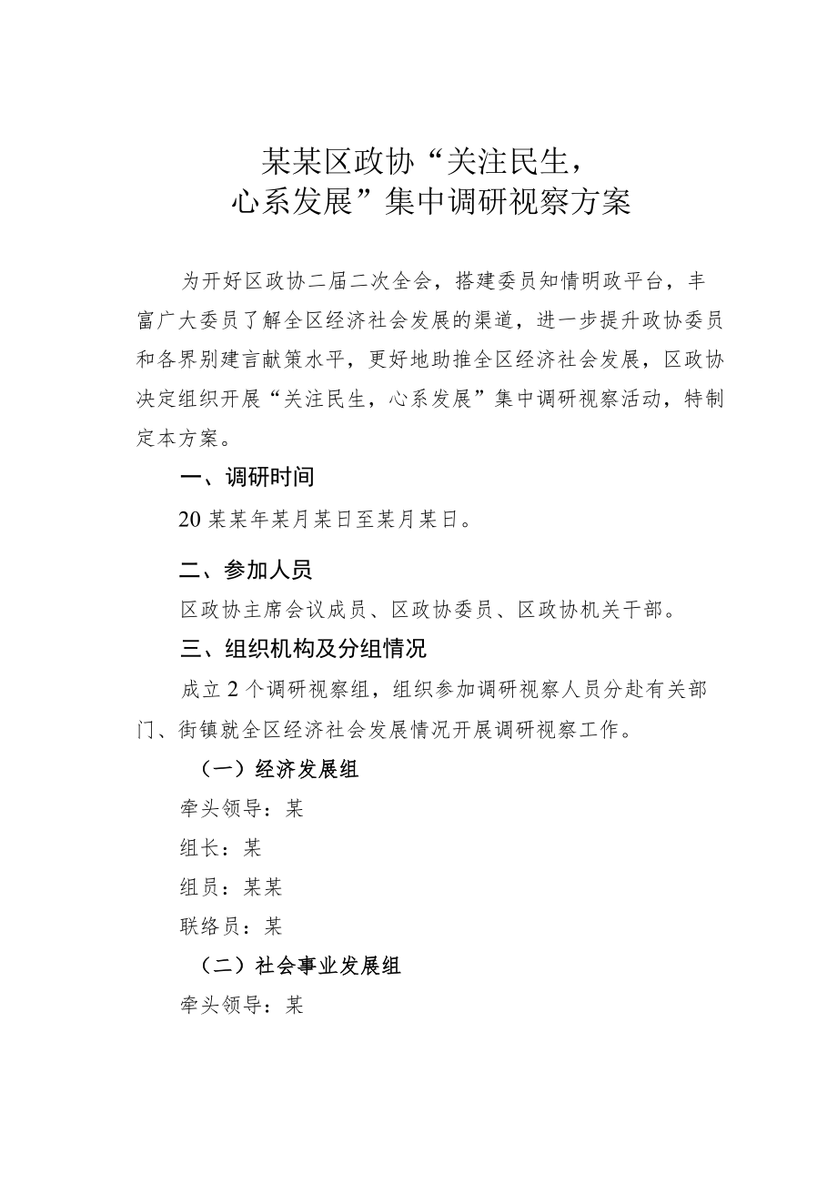 某某区政协“关注民生心系发展”集中调研视察方案.docx_第1页