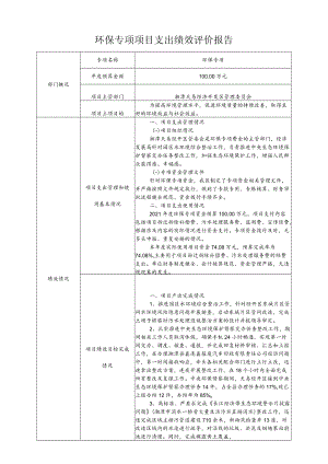 环保专项项目支出绩效评价报告.docx