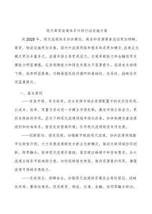 现代商贸流通体系升级行动实施方案.docx