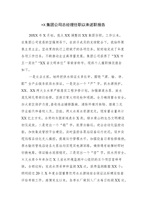 集团公司总经理任职以来述职报告.docx