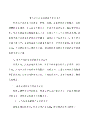 重点方向运输通道能力提升工程.docx