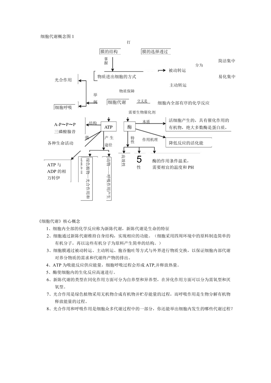 细胞代谢概念图.docx_第1页