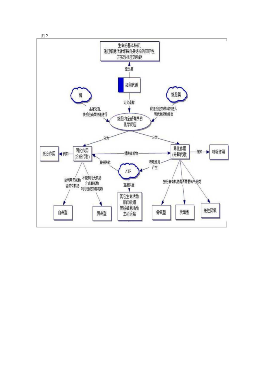 细胞代谢概念图.docx_第2页