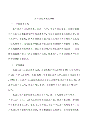 膜产业发展概述分析.docx