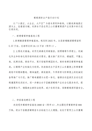 葡萄酒综合产值行动计划.docx