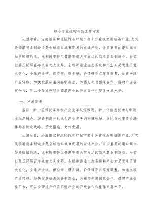 联合专业机构招商工作方案.docx