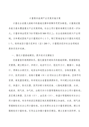 计量服务盐湖产业发展实施方案.docx