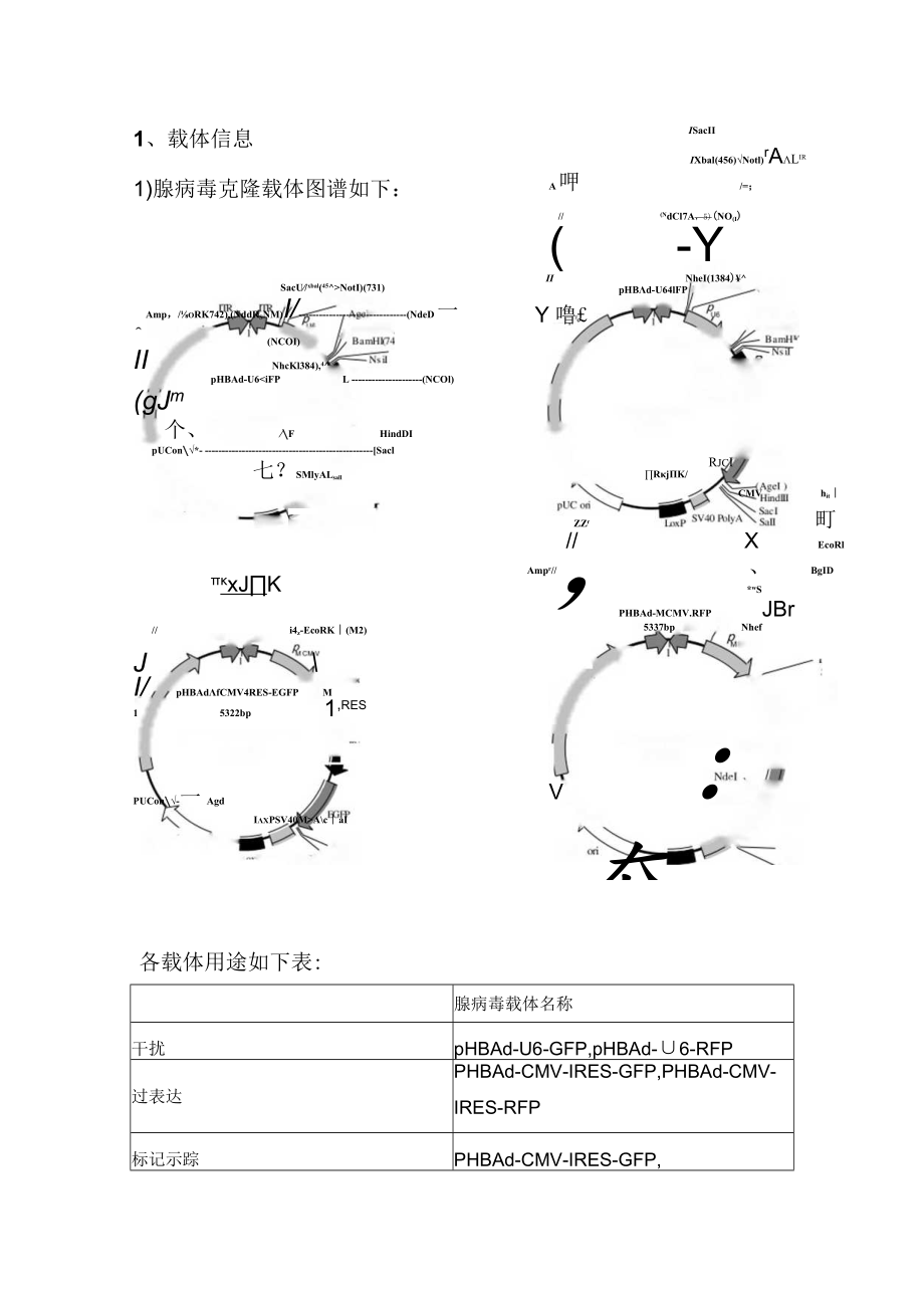 腺病毒载体操作手册1407.docx_第2页