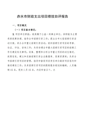 赤水市财政支出项目绩效自评报告.docx