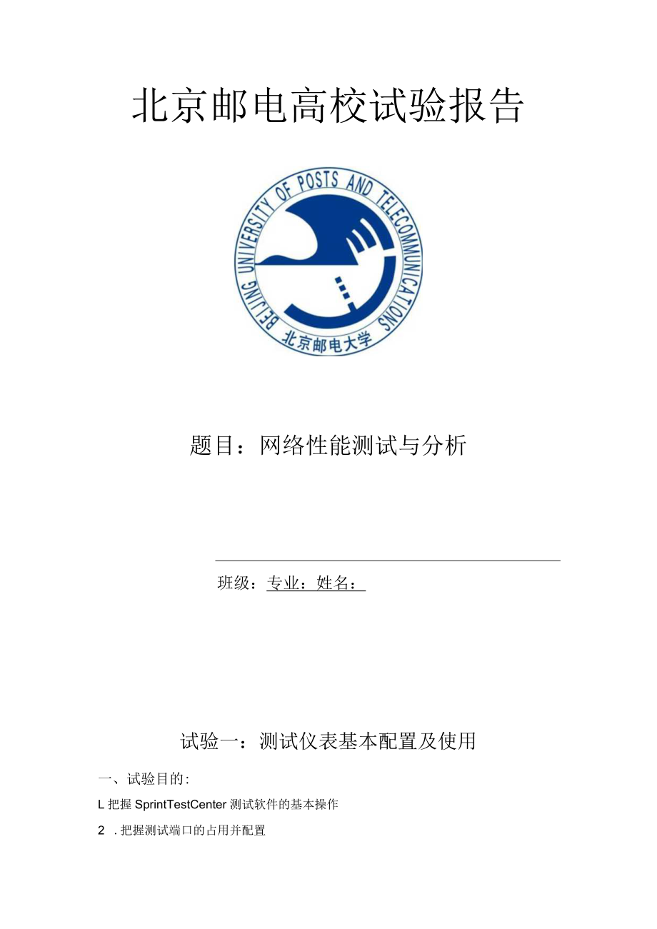 网络性能测试与优化.docx_第1页