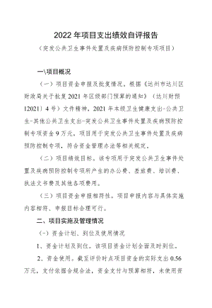 达州市达川区卫生和计划生育监督执法大队2022年项目支出绩效自评报告.docx