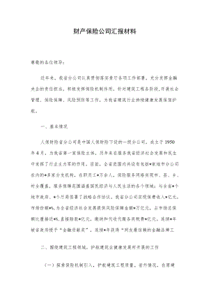 财产保险公司汇报材料.docx