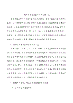 聚力保障优质医疗资源有效下沉.docx