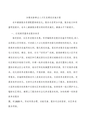 加强老龄事业人才队伍建设实施方案.docx