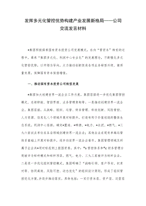 发挥多元化管控优势 构建产业发展新格局——公司交流发言材料.docx