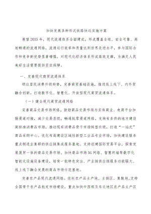 加快发展多种形式铁路快运实施方案.docx