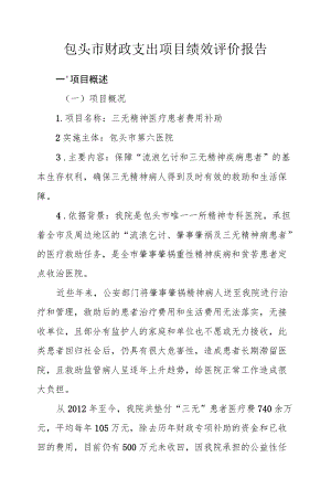 包头市财政支出项目绩效评价报告.docx