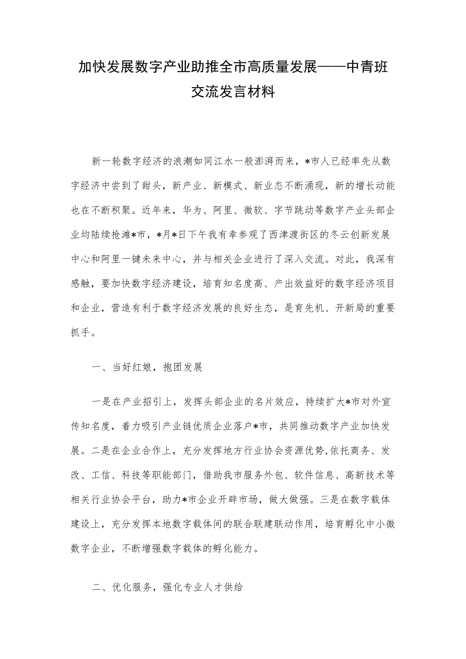 加快发展数字产业 助推全市高质量发展——中青班交流发言材料.docx_第1页