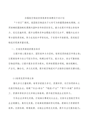 加强航空物流安保规章标准建设行动计划.docx