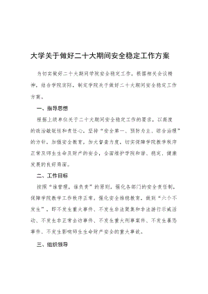 大学关于做好二十大期间安全稳定工作方案等范文十篇.docx