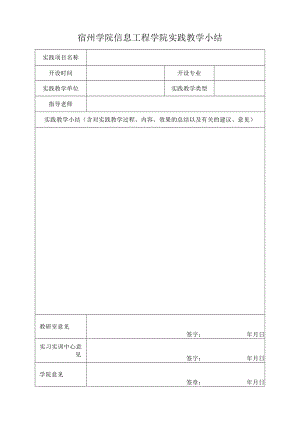 宿州学院信息工程学院实践教学小结.docx