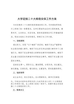 大学迎接二十大维稳安保工作方案等范文汇编.docx