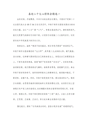 喜迎二十大心得体会精选一.docx