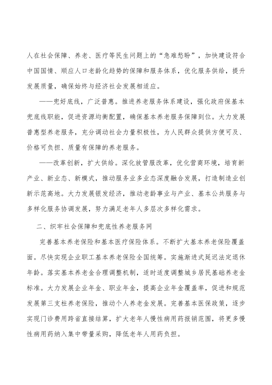 基层老年协会规范化建设行动计划.docx_第2页