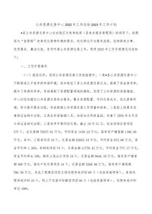 公共资源交易中心2022年工作总结2023年工作计划.docx