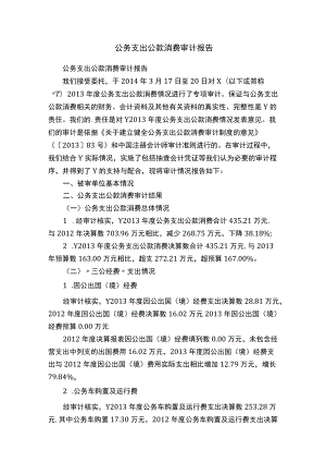 公务支出公款消费审计报告.docx