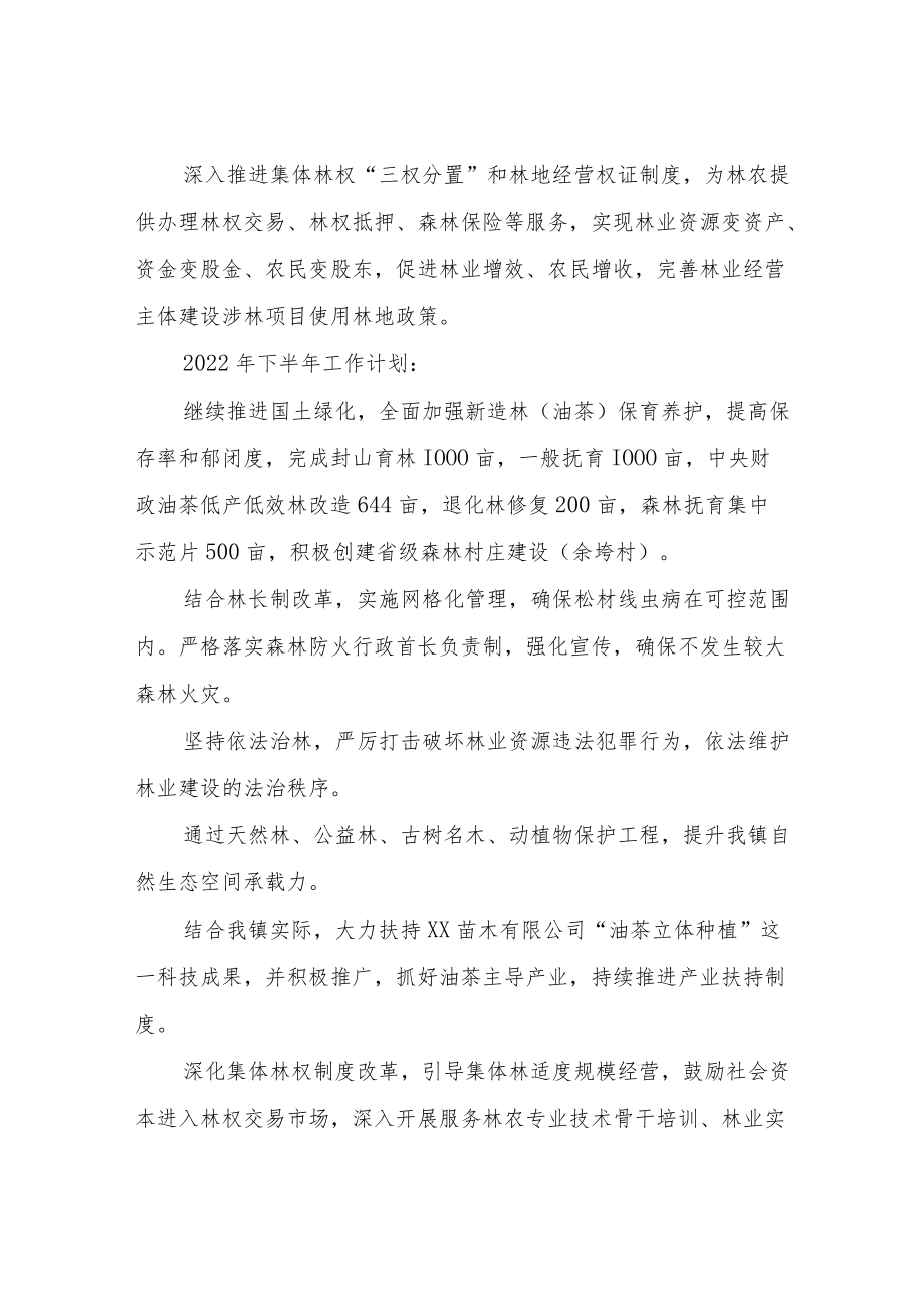 XX镇2022年林业上半年工作总结.docx_第3页