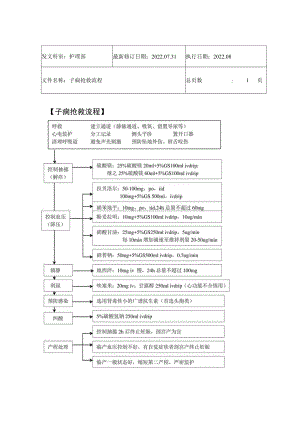 2022年9月《子痫抢救流程》.docx