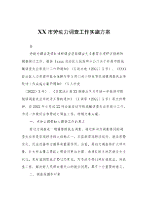 XX市劳动力调查工作实施方案.docx