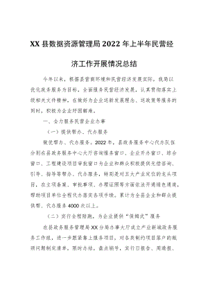 XX县数据资源管理局2022年上半年民营经济工作开展情况总结.docx