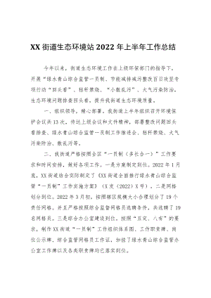 XX街道生态环境站2022年上半年工作总结.docx