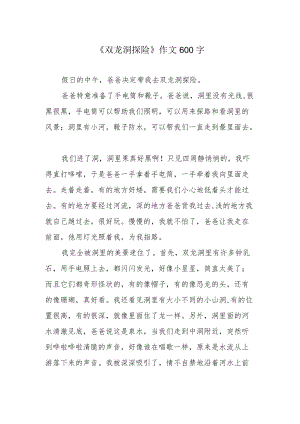 《双龙洞探险》作文600字.docx