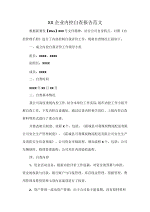 XX企业内控自查报告范文.docx