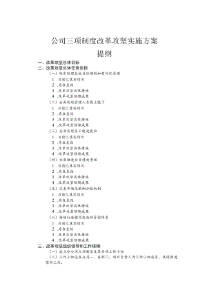 公司三项制度改革攻坚实施方案.docx