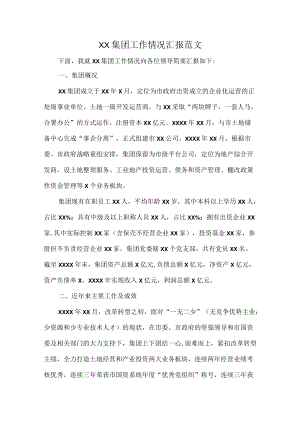 XX集团工作情况汇报范文.docx