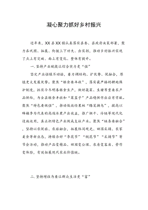 乡村振兴经验材料：凝心聚力抓好乡村振兴.docx