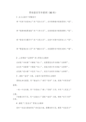 (30例)贯彻落实写作提纲.docx