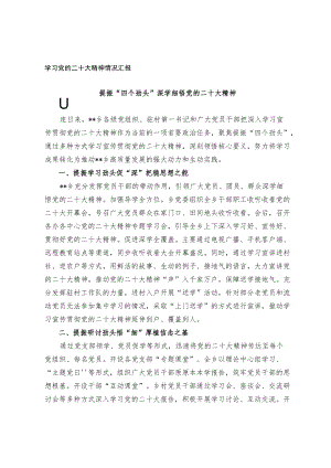 党的二十大精神学习情况汇报（选篇）.docx