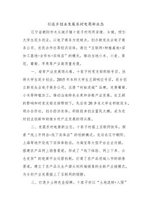 乡村振兴经验材料：引返乡创业发展农村电商新业态.docx