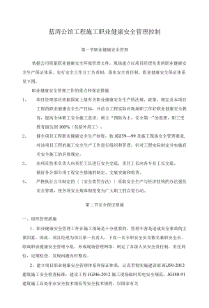 蓝湾公馆工程施工职业健康安全管理控制.docx