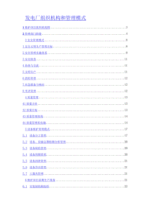 发电厂组织机构和管理模式.docx