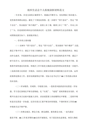 组织生活会个人检视剖析材料范文.docx