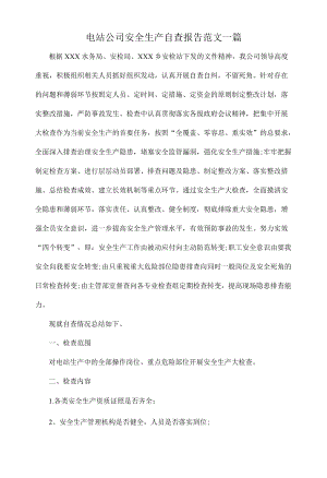 电站公司安全生产自查报告范文一篇.docx