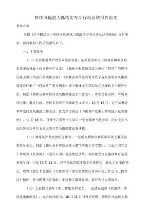 转作风提能力抓落实专项行动总结报告范文.docx