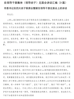 在领导干部集体（领导班子）见面会讲话3篇.docx